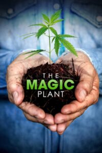 The Magic Plant 2020 on netflix