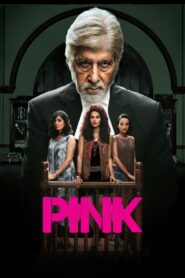 Pink 2016 on netflix
