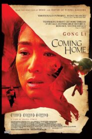 Coming Home 2014 on netflix