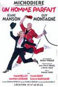 Un homme parfait 2003 on netflix