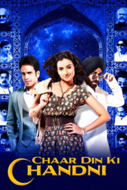 Chaar Din Ki Chandni 2012 on netflix