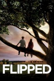 Flipped 2010 on netflix