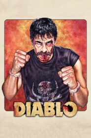 Diablo 2012 on netflix