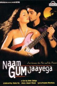 Naam Gum Jaayega 2005 on netflix