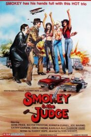 Smokey and the Judge 1980 on netflix
