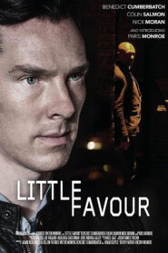 Little Favour 2013 on netflix