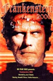 Return from Death: Frankenstein 2000 1991 on netflix