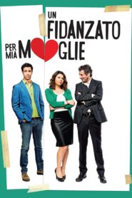 Un fidanzato per mia moglie 2014 on netflix
