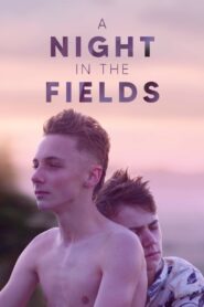 A Night in the Fields 2020 on netflix
