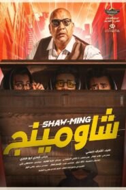 Shaw-Ming 2021 on netflix