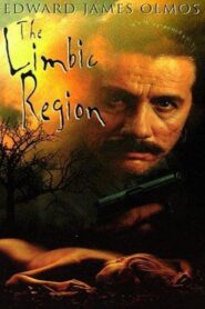 The Limbic Region 1996 on netflix