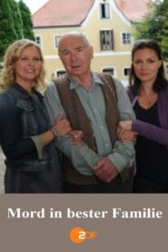 Mord in bester Familie 2011 on netflix