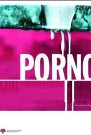 Porno 2006 on netflix