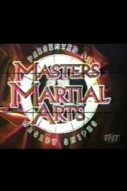 Masters of the Martial Arts Presented by Wesley Snipes 1998 on netflix
