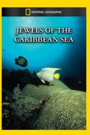 Jewels of the Caribbean Sea 1994 on netflix
