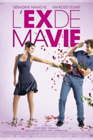 Divorce French Style 2014 on netflix