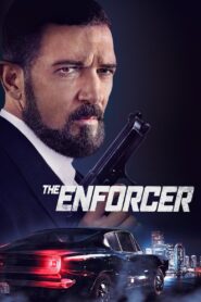 The Enforcer 2022 on netflix