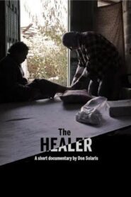 The Healer 2015 on netflix