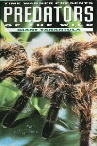Predators of the Wild: Giant Tarantula 1993 on netflix