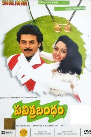 Pavithra Bandham 1996 on netflix