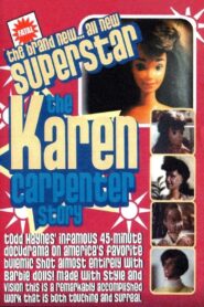 Superstar: The Karen Carpenter Story 1987 on netflix