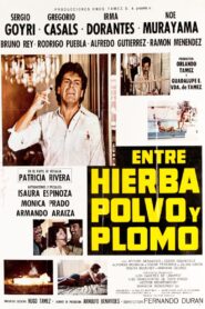 Entre Hierba, Polvo y Plomo 1984 on netflix