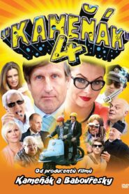 Bad Joke 4 2013 on netflix