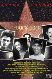 Fool’s Gold 2005 on netflix