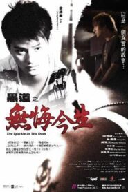 The Sparkle in the Dark 2007 on netflix