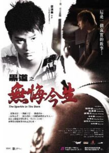 The Sparkle in the Dark 2007 on netflix