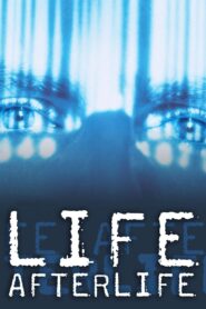America Undercover: Life Afterlife 2000 on netflix
