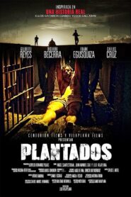 Plantados 2021 on netflix