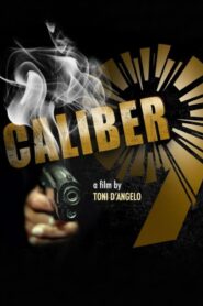Caliber 9 2020 on netflix