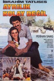 Ayrılık Kolay Değil 1980 on netflix