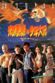 Street of Fury 1996 on netflix