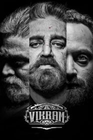 Vikram 2022 on netflix