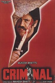 Criminal 1995 on netflix