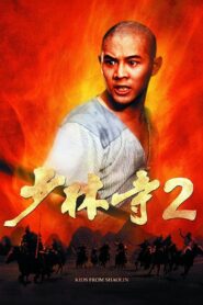 Kids from Shaolin 1984 on netflix