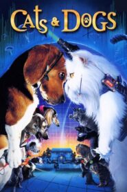 Cats & Dogs 2001 on netflix