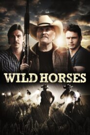 Wild Horses 2015 on netflix
