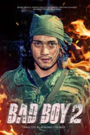 Bad Boy II 1992 on netflix