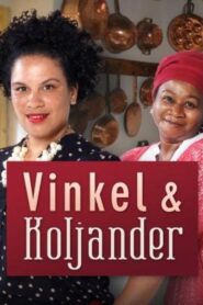 Vinkel & Koljander 2016 on netflix
