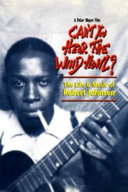 Can’t You Hear the Wind Howl? The Life & Music of Robert Johnson 1998 on netflix