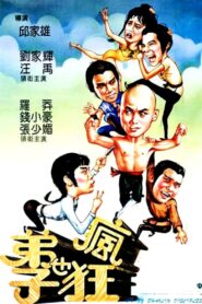 Crazy Shaolin Disciples 1985 on netflix