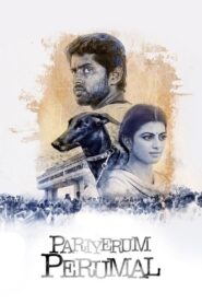 Pariyerum Perumal 2018 on netflix