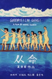 Goodbye! Lin Gang! 2015 on netflix