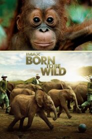 Born to Be Wild 2011 on netflix