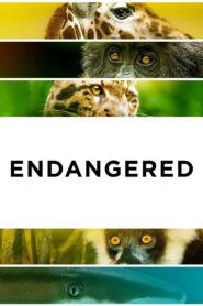 Endangered 2021 on netflix