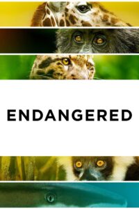 Endangered 2021 on netflix