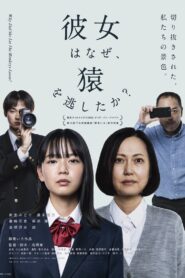 Why Did She Let the Monkeys Loose? 2024 on netflix